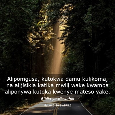 Picture 03 - Marko 5:29 SWHULB - Alipomgusa, kutokwa damu kulikoma, na alijisikia - Bible Verse Picture