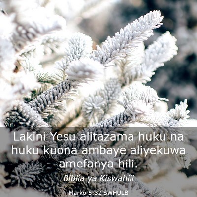 Picture 03 - Marko 5:32 SWHULB - Lakini Yesu alitazama huku na huku kuona ambaye - Bible Verse Picture