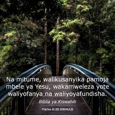 Picture 03 - Marko 6:30 SWHULB - Na mitume, walikusanyika pamoja mbele ya Yesu, - Bible Verse Picture