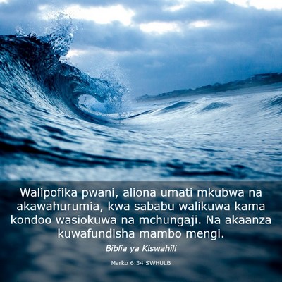 Picture 03 - Marko 6:34 SWHULB - Walipofika pwani, aliona umati mkubwa na - Bible Verse Picture