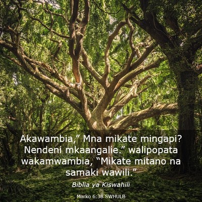 Picture 03 - Marko 6:38 SWHULB - Akawambia,” Mna mikate mingapi? Nendeni - Bible Verse Picture