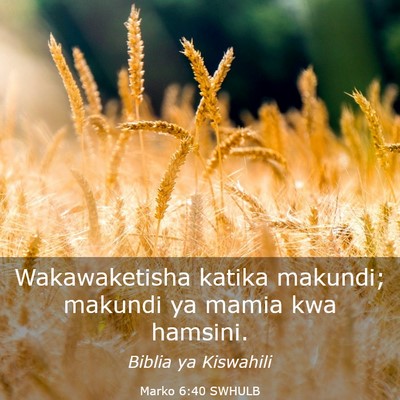 Picture 03 - Marko 6:40 SWHULB - Wakawaketisha katika makundi; makundi ya mamia - Bible Verse Picture