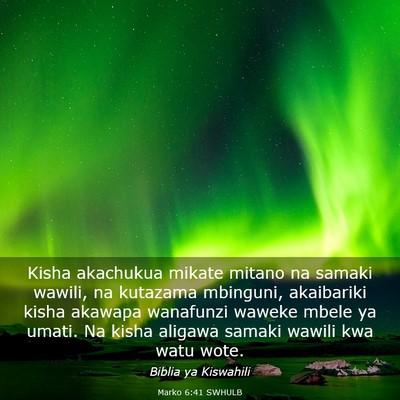 Picture 03 - Marko 6:41 SWHULB - Kisha akachukua mikate mitano na samaki wawili, - Bible Verse Picture