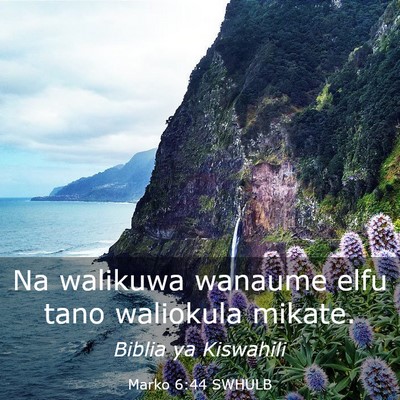 Picture 03 - Marko 6:44 SWHULB - Na walikuwa wanaume elfu tano waliokula - Bible Verse Picture