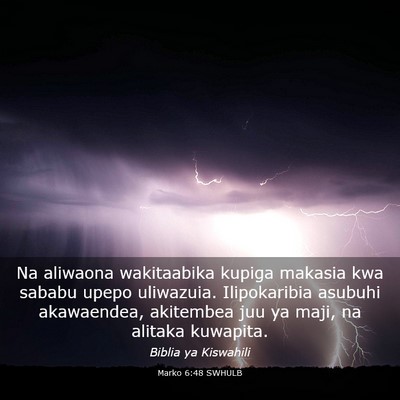Picture 03 - Marko 6:48 SWHULB - Na aliwaona wakitaabika kupiga makasia kwa sababu - Bible Verse Picture