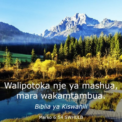 Picture 03 - Marko 6:54 SWHULB - Walipotoka nje ya mashua, mara - Bible Verse Picture
