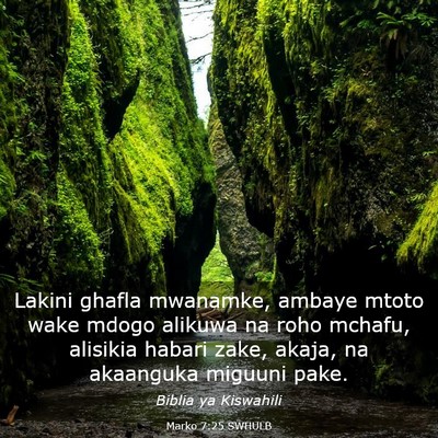 Picture 03 - Marko 7:25 SWHULB - Lakini ghafla mwanamke, ambaye mtoto wake mdogo - Bible Verse Picture