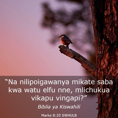 Picture 03 - Marko 8:20 SWHULB - “Na nilipoigawanya mikate saba kwa watu elfu - Bible Verse Picture