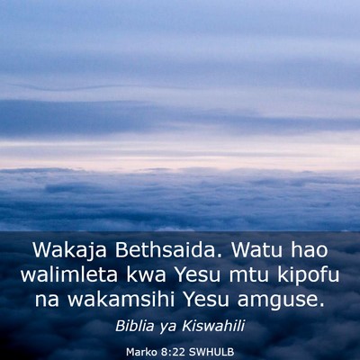Picture 03 - Marko 8:22 SWHULB - Wakaja Bethsaida. Watu hao walimleta kwa Yesu mtu - Bible Verse Picture