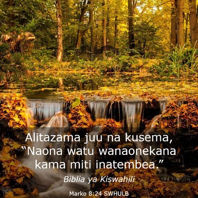 Picture 03 - Marko 8:24 SWHULB - Alitazama juu na kusema, “Naona watu - Bible Verse Picture