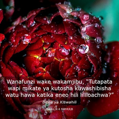 Picture 03 - Marko 8:4 SWHULB - Wanafunzi wake wakamjibu, “Tutapata wapi mikate - Bible Verse Picture