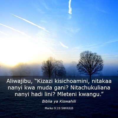 Picture 03 - Marko 9:19 SWHULB - Aliwajibu, “Kizazi kisichoamini, nitakaa nanyi - Bible Verse Picture