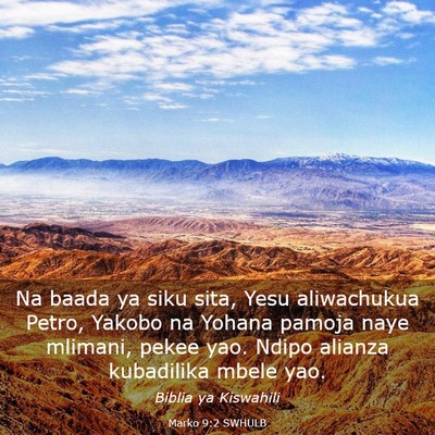 Picture 03 - Marko 9:2 SWHULB - Na baada ya siku sita, Yesu aliwachukua Petro, - Bible Verse Picture