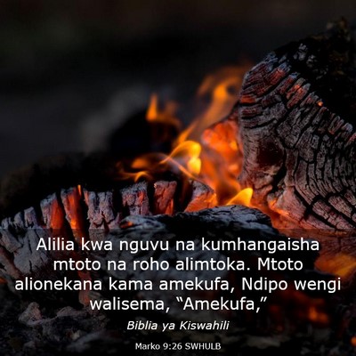 Picture 03 - Marko 9:26 SWHULB - Alilia kwa nguvu na kumhangaisha mtoto na roho - Bible Verse Picture