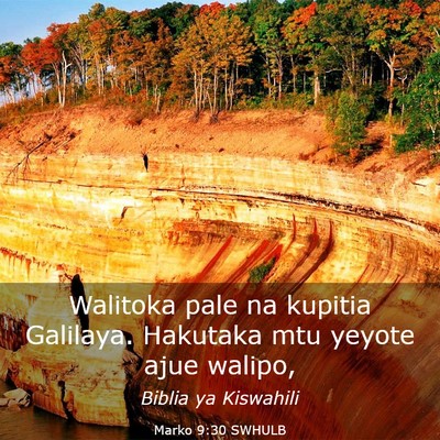 Picture 03 - Marko 9:30 SWHULB - Walitoka pale na kupitia Galilaya. Hakutaka mtu - Bible Verse Picture