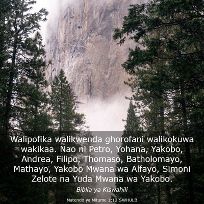 Picture 03 - Matendo ya Mitume 1:13 SWHULB - Walipofika walikwenda ghorofani walikokuwa - Bible Verse Picture