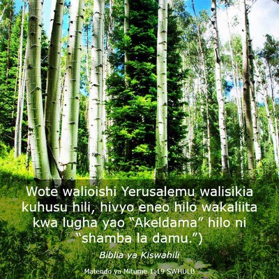 Picture 03 - Matendo ya Mitume 1:19 SWHULB - Wote walioishi Yerusalemu walisikia kuhusu hili, - Bible Verse Picture