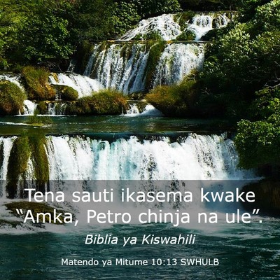 Picture 03 - Matendo ya Mitume 10:13 SWHULB - Tena sauti ikasema kwake “Amka, Petro chinja na - Bible Verse Picture