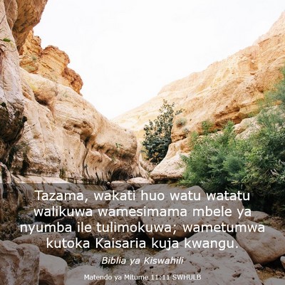 Picture 03 - Matendo ya Mitume 11:11 SWHULB - Tazama, wakati huo watu watatu walikuwa - Bible Verse Picture
