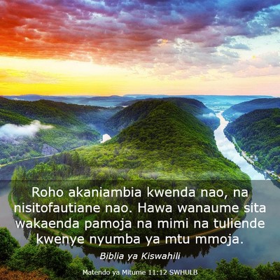Picture 03 - Matendo ya Mitume 11:12 SWHULB - Roho akaniambia kwenda nao, na nisitofautiane - Bible Verse Picture