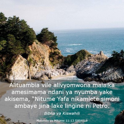 Picture 03 - Matendo ya Mitume 11:13 SWHULB - Alituambia vile alivyomwona malaika amesimama - Bible Verse Picture