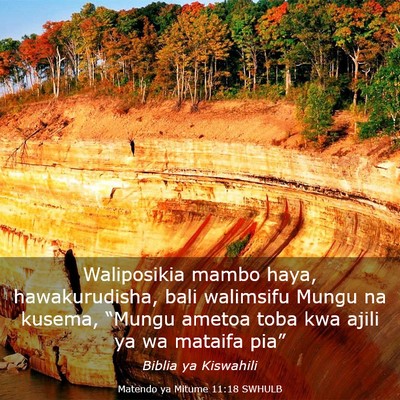 Picture 03 - Matendo ya Mitume 11:18 SWHULB - Waliposikia mambo haya, hawakurudisha, bali - Bible Verse Picture