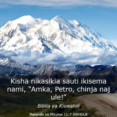 Picture 03 - Matendo ya Mitume 11:7 SWHULB - Kisha nikasikia sauti ikisema nami, “Amka, - Bible Verse Picture