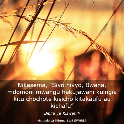 Picture 03 - Matendo ya Mitume 11:8 SWHULB - Nikasema, “Siyo hivyo, Bwana, mdomoni mwangu - Bible Verse Picture