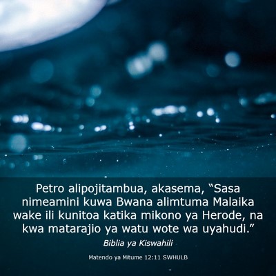 Picture 03 - Matendo ya Mitume 12:11 SWHULB - Petro alipojitambua, akasema, “Sasa nimeamini - Bible Verse Picture