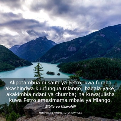 Picture 03 - Matendo ya Mitume 12:14 SWHULB - Alipotambua ni sauti ya Petro, kwa furaha - Bible Verse Picture