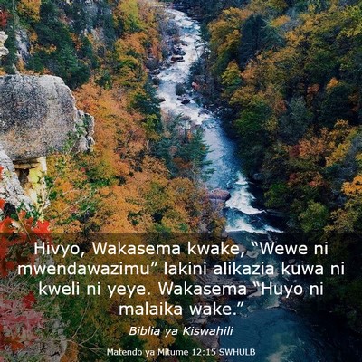 Picture 03 - Matendo ya Mitume 12:15 SWHULB - Hivyo, Wakasema kwake, “Wewe ni mwendawazimu” - Bible Verse Picture