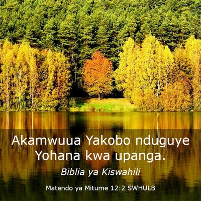 Picture 03 - Matendo ya Mitume 12:2 SWHULB - Akamwuua Yakobo nduguye Yohana kwa - Bible Verse Picture