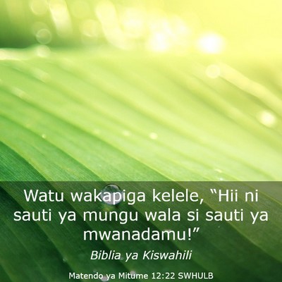 Picture 03 - Matendo ya Mitume 12:22 SWHULB - Watu wakapiga kelele, “Hii ni sauti ya mungu - Bible Verse Picture