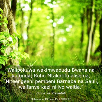 Picture 03 - Matendo ya Mitume 13:2 SWHULB - Walipokuwa wakimwabudu Bwana na kufunga, Roho - Bible Verse Picture