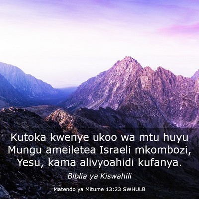 Picture 03 - Matendo ya Mitume 13:23 SWHULB - Kutoka kwenye ukoo wa mtu huyu Mungu ameiletea - Bible Verse Picture