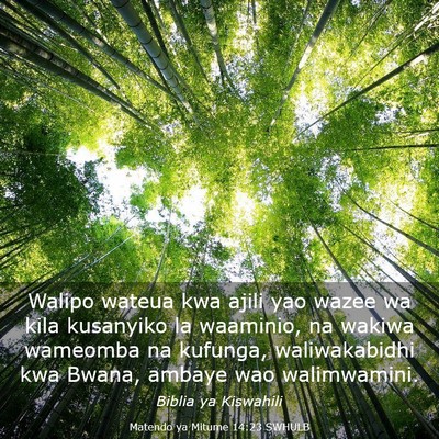 Picture 03 - Matendo ya Mitume 14:23 SWHULB - Walipo wateua kwa ajili yao wazee wa kila - Bible Verse Picture