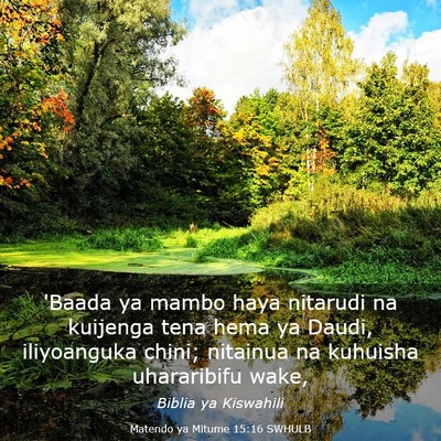 Picture 03 - Matendo ya Mitume 15:16 SWHULB - 'Baada ya mambo haya nitarudi na kuijenga tena - Bible Verse Picture