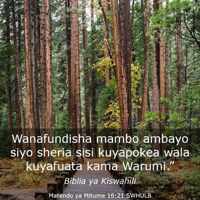 Picture 03 - Matendo ya Mitume 16:21 SWHULB - Wanafundisha mambo ambayo siyo sheria sisi - Bible Verse Picture