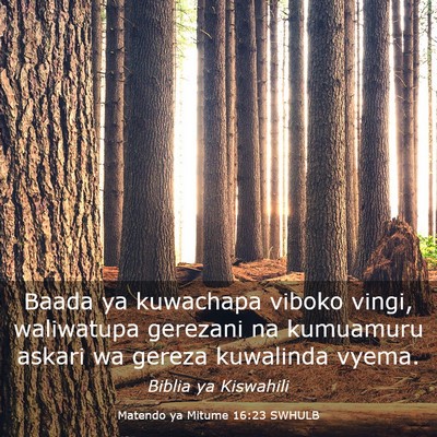 Picture 03 - Matendo ya Mitume 16:23 SWHULB - Baada ya kuwachapa viboko vingi, waliwatupa - Bible Verse Picture