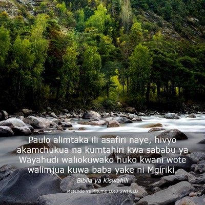 Picture 03 - Matendo ya Mitume 16:3 SWHULB - Paulo alimtaka ili asafiri naye, hivyo akamchukua - Bible Verse Picture
