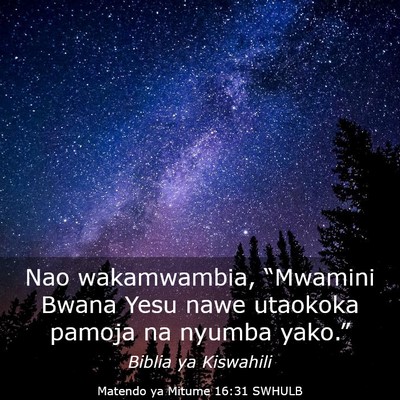 Picture 03 - Matendo ya Mitume 16:31 SWHULB - Nao wakamwambia, “Mwamini Bwana Yesu nawe - Bible Verse Picture