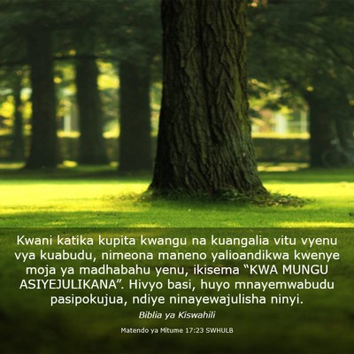 Picture 03 - Matendo ya Mitume 17:23 SWHULB - Kwani katika kupita kwangu na kuangalia vitu - Bible Verse Picture