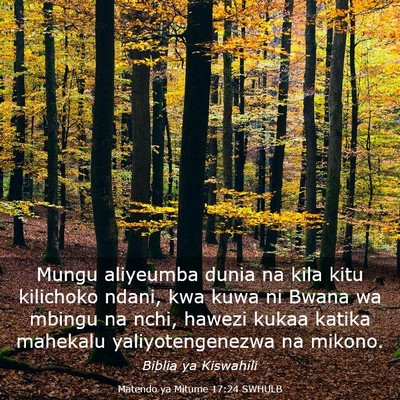 Picture 03 - Matendo ya Mitume 17:24 SWHULB - Mungu aliyeumba dunia na kila kitu kilichoko - Bible Verse Picture