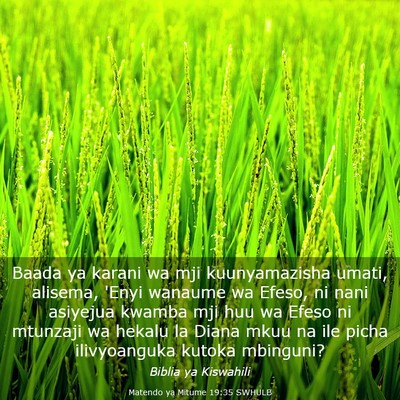 Picture 03 - Matendo ya Mitume 19:35 SWHULB - Baada ya karani wa mji kuunyamazisha umati, - Bible Verse Picture