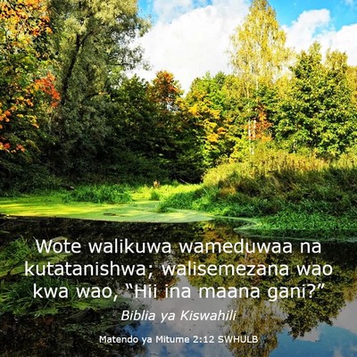 Picture 03 - Matendo ya Mitume 2:12 SWHULB - Wote walikuwa wameduwaa na kutatanishwa; - Bible Verse Picture