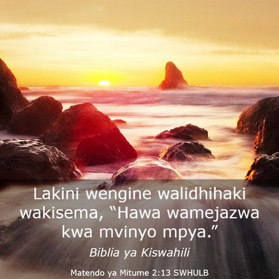 Picture 03 - Matendo ya Mitume 2:13 SWHULB - Lakini wengine walidhihaki wakisema, “Hawa - Bible Verse Picture