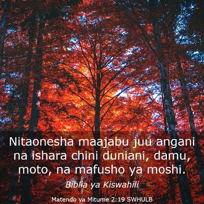 Picture 03 - Matendo ya Mitume 2:19 SWHULB - Nitaonesha maajabu juu angani na ishara chini - Bible Verse Picture
