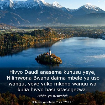 Picture 03 - Matendo ya Mitume 2:25 SWHULB - Hivyo Daudi anasema kuhusu yeye, 'Nilimwona Bwana - Bible Verse Picture