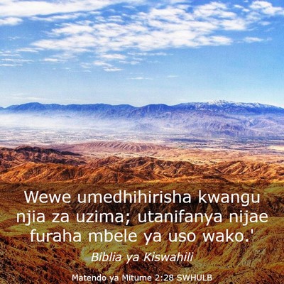 Picture 03 - Matendo ya Mitume 2:28 SWHULB - Wewe umedhihirisha kwangu njia za uzima; - Bible Verse Picture