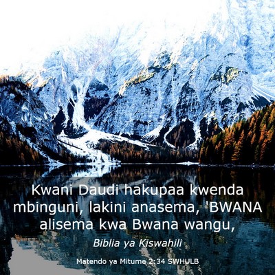 Picture 03 - Matendo ya Mitume 2:34 SWHULB - Kwani Daudi hakupaa kwenda mbinguni, lakini - Bible Verse Picture
